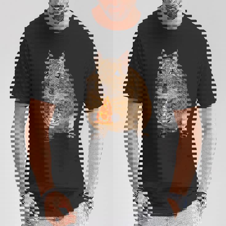 Degu Eating Alice Of Pizza Tシャツ 面白い贈り物