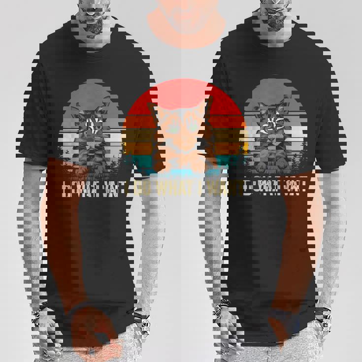 I Do What I Want Cat レトロ ヴィンテージ 面白い 猫好き Tシャツ 面白い贈り物