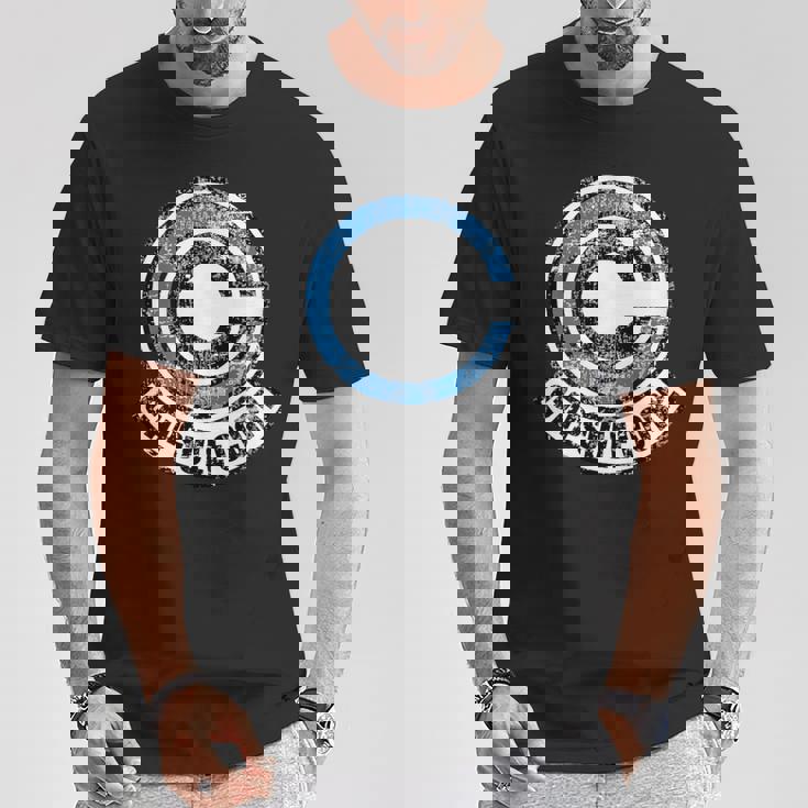 Dragon Capsule Ball Corp レディース メンズ Tシャツ 面白い贈り物