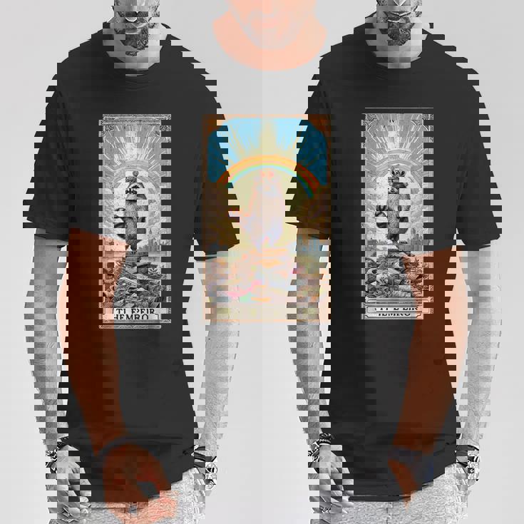 The Emperor 面白いアライグマ タロットカード ミスティックアライグマ Tシャツ 面白い贈り物