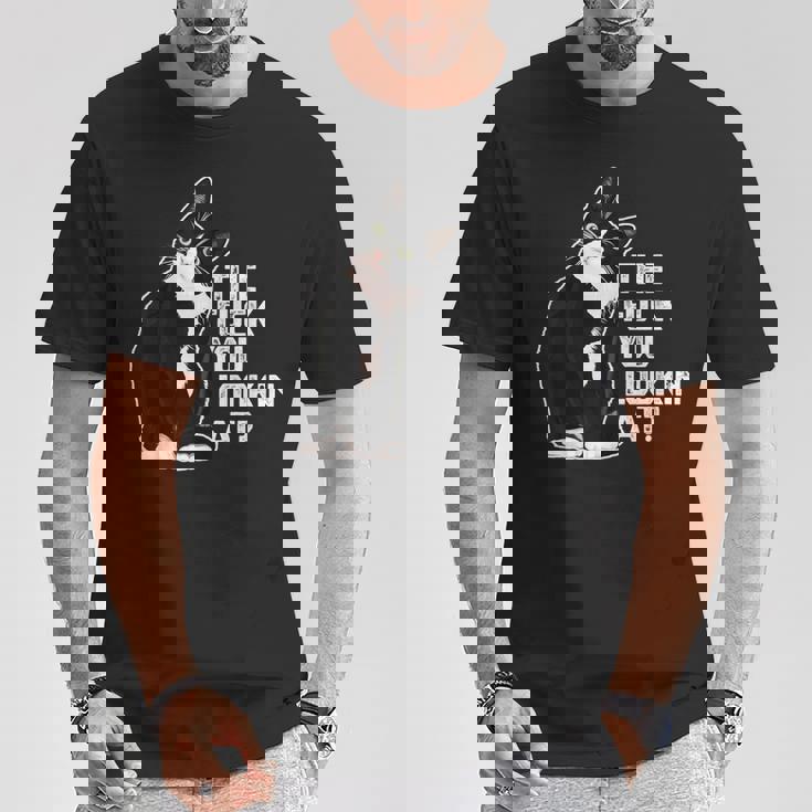 The Fuck You Lookin At 猫好きのための面白い下品なノベルティ Tシャツ 面白い贈り物