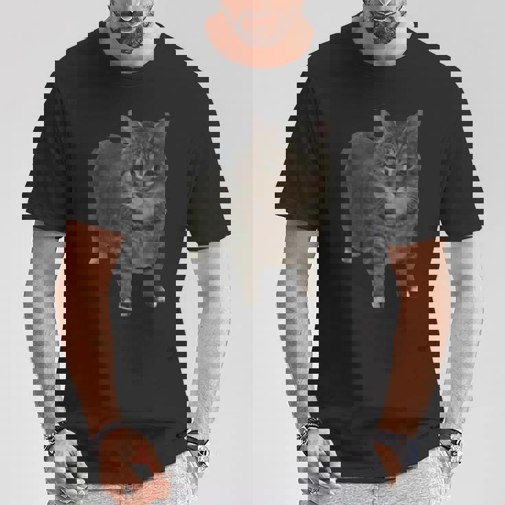 Oiia Oiia スピニングキャットミーム Tシャツ 面白い贈り物