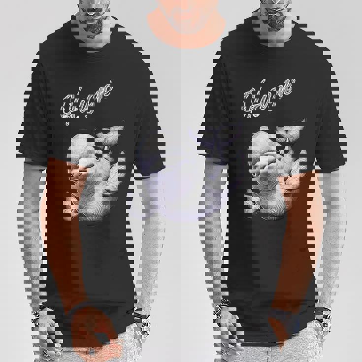 Hug Me ベルーガ アートデザイン 可愛い おしゃれ 動物 シロイルカ シロクジラ Tシャツ 面白い贈り物