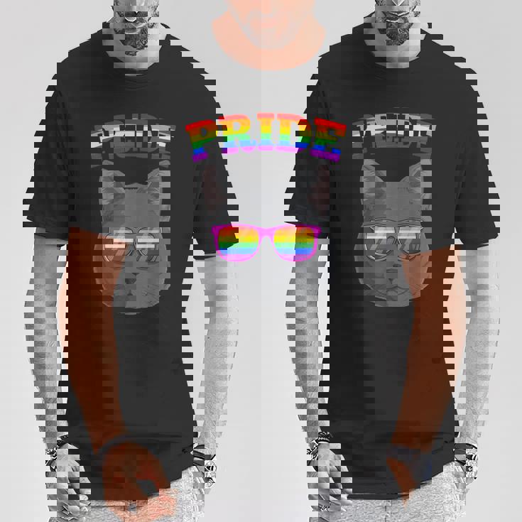 Lgbt Britishhorthair Cat Gay Pride Rainbow Lgbtq Kitty Tシャツ 面白い贈り物