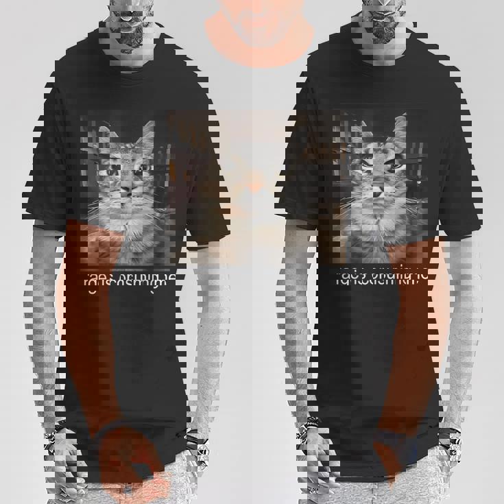 Rage Is Consuming Me 愚かな凝視猫ミーム Tシャツ 面白い贈り物