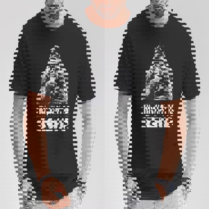 Sarcastic Humor Meme Erm What Theigma Ironic Meme Tシャツ 面白い贈り物