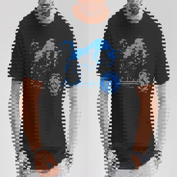 Suiコイン暗号ブルランhodlブロックチェーンで億万長者になる Tシャツ 面白い贈り物