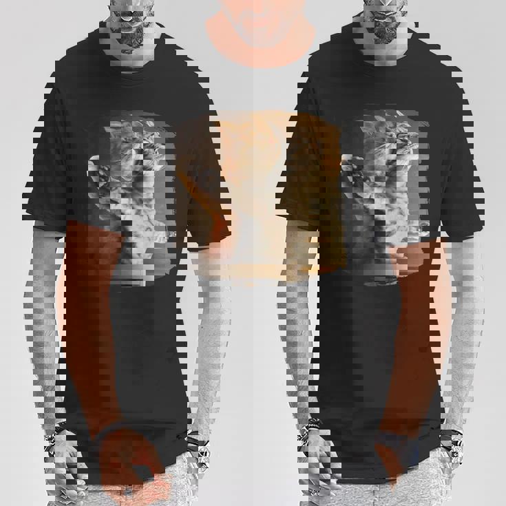 TitaniCムービーにインスパイアされた面白い猫好きのミーム。 Tシャツ 面白い贈り物