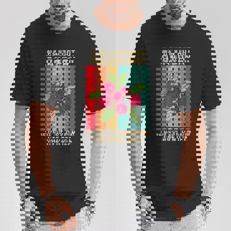 Vintage A Day Without Cranberry I Have No Idea クランベリー Tシャツ 面白い贈り物