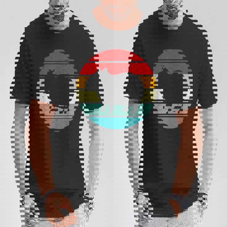 Vintage Retrounset Capybara Tシャツ 面白い贈り物