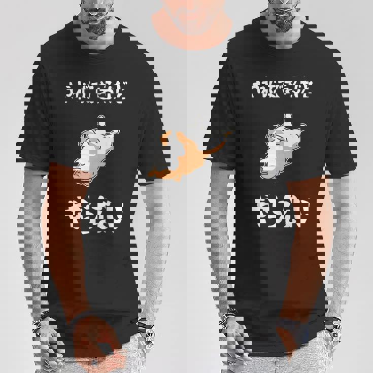 「やればできるけどやらない」柴犬 文字入り おもしろ 筆文字 面白い 服 面白い Tシャツ 面白い贈り物