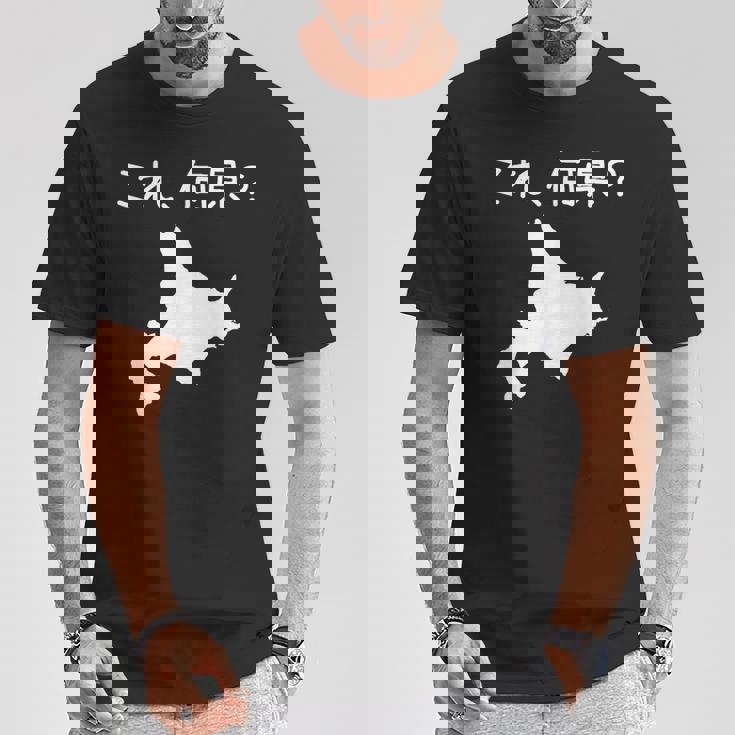 【これ、何県？】北海道 都道府県 クイズ 小学生 遊び心 パズル 地図 シルエット 地理 先生 おもしろ 面白い ネタ Tシャツ 面白い贈り物