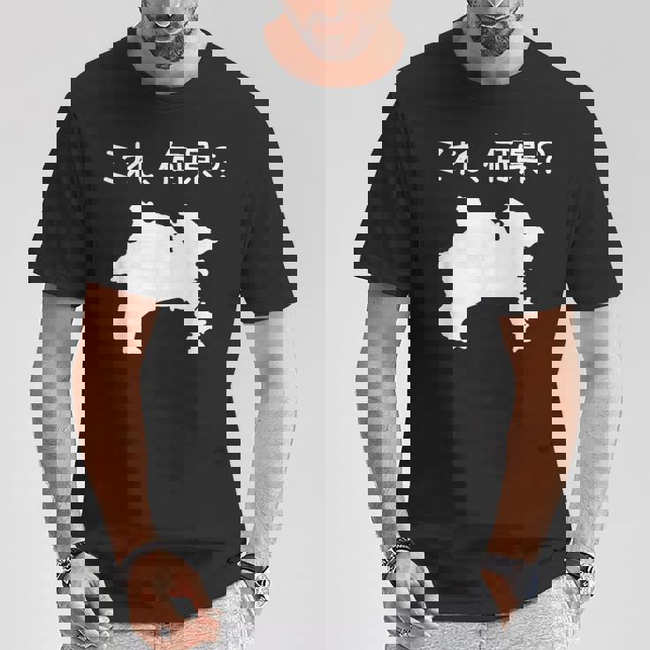 【これ、何県？】神奈川県 都道府県 クイズ 小学生 遊び心 パズル 地図 シルエット 地理 先生 おもしろ 面白い ネタ Tシャツ 面白い贈り物