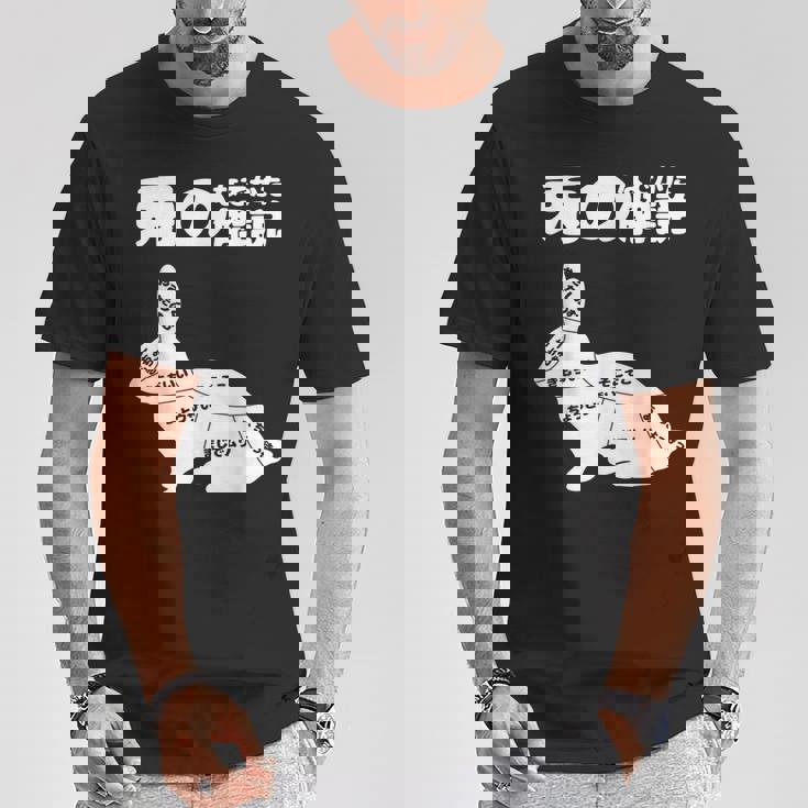 うさぎの撫で方の説明、うさぎ好き、うさぎの飼い主、プレゼント、おもしろうさぎ、うさぎ、 Tシャツ 面白い贈り物