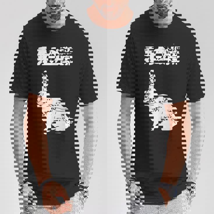 うさぎの撫で方解説 ウサギ好き うさぎ好き うさぎの飼い主 おもしろ うさぎ 兎 Tシャツ 面白い贈り物