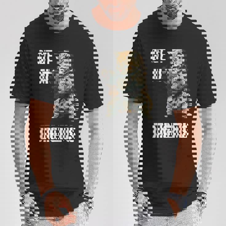 かわいいけど危険な空手 面白い テコンドー 猫 格闘技 Tシャツ 面白い贈り物