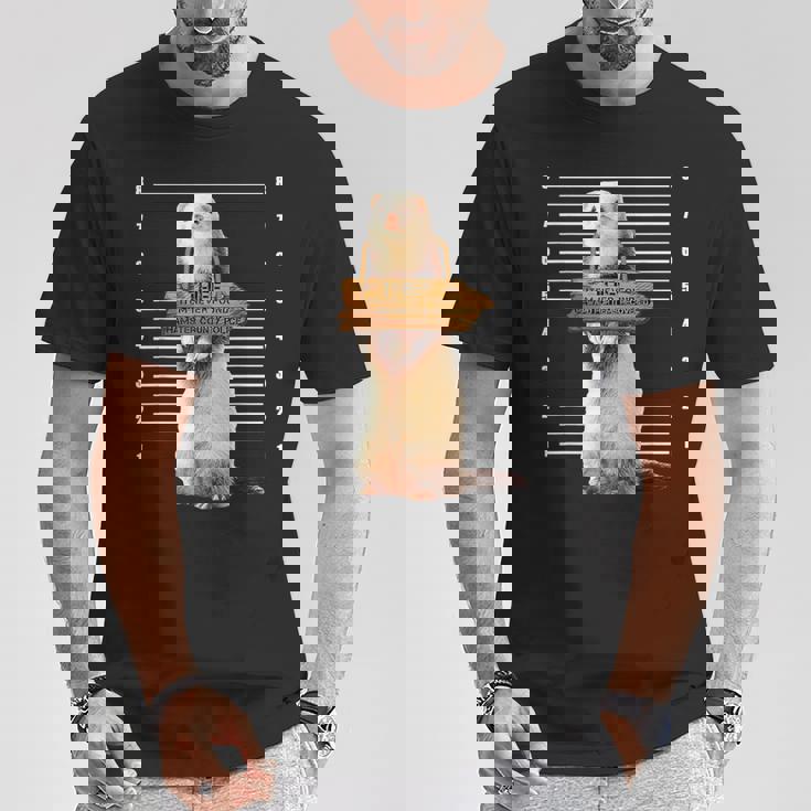 かわいいフェレット泥棒 面白い動物 Tシャツ 面白い贈り物