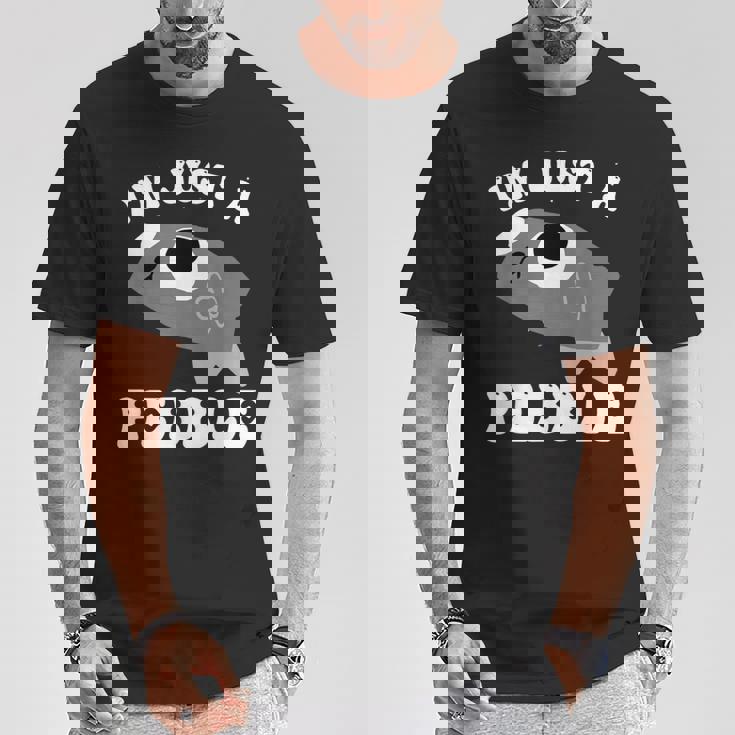 アイム・ジャスト・ア・ペブル・ダンディーズ・ワールド Tシャツ 面白い贈り物