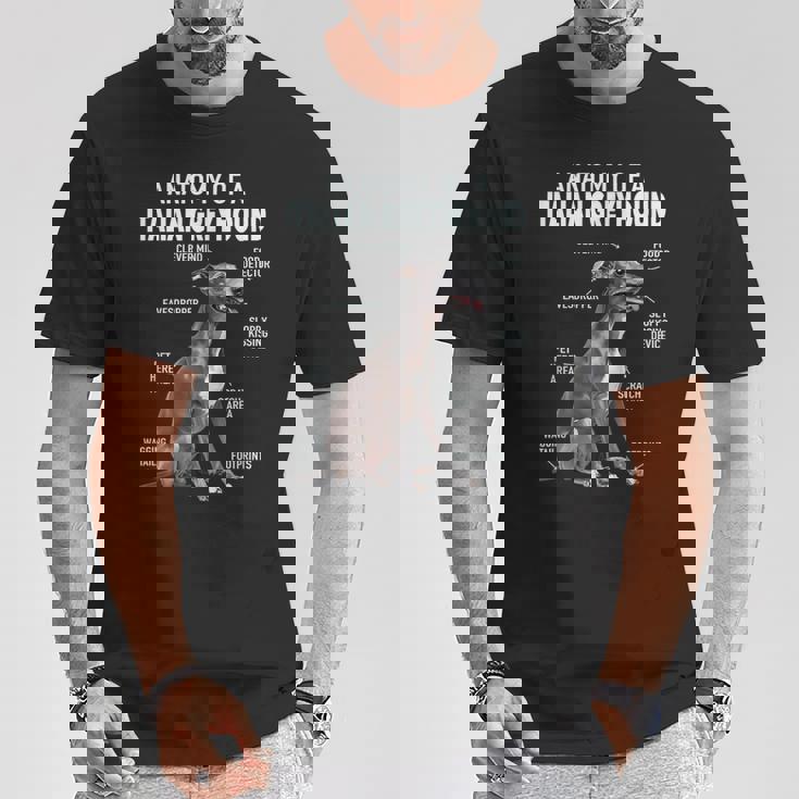 イタリアングレイハウンドの解剖学 Tシャツ 面白い贈り物