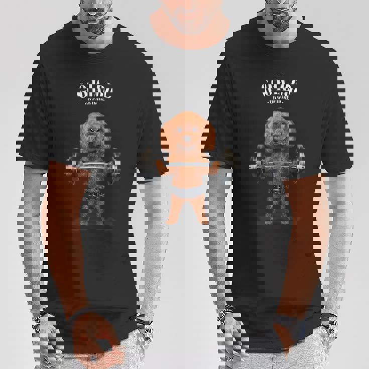 ウェイトリフティング 筋トレ バーベル やる気がないなら家に帰れ プードル 犬 Tシャツ 面白い贈り物