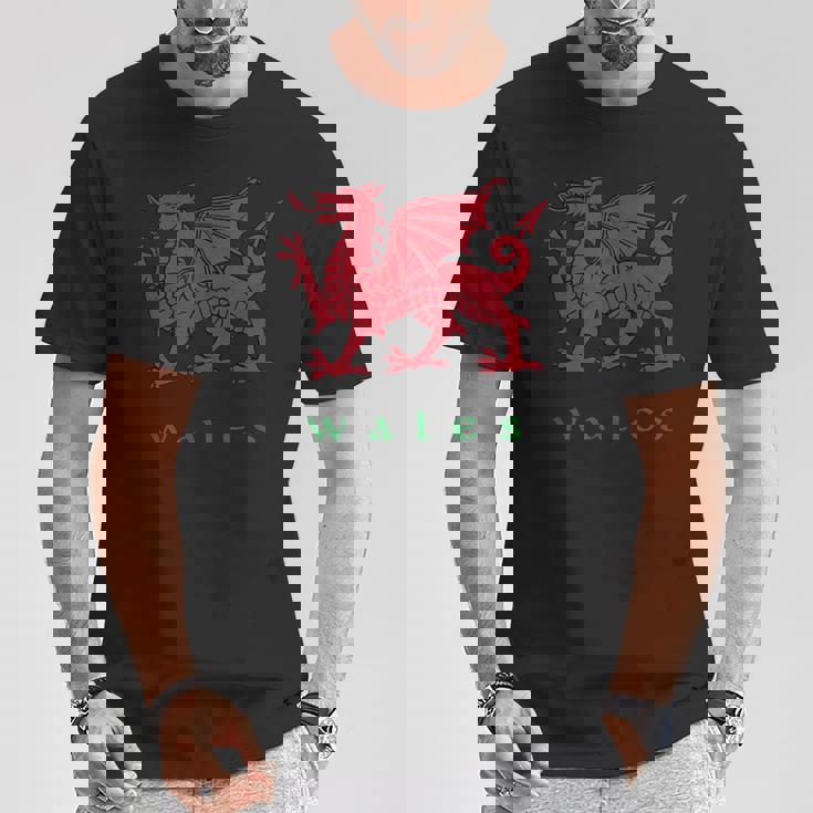 ウェールズ ウェールズ ウェールズ ドラゴン Tシャツ 面白い贈り物
