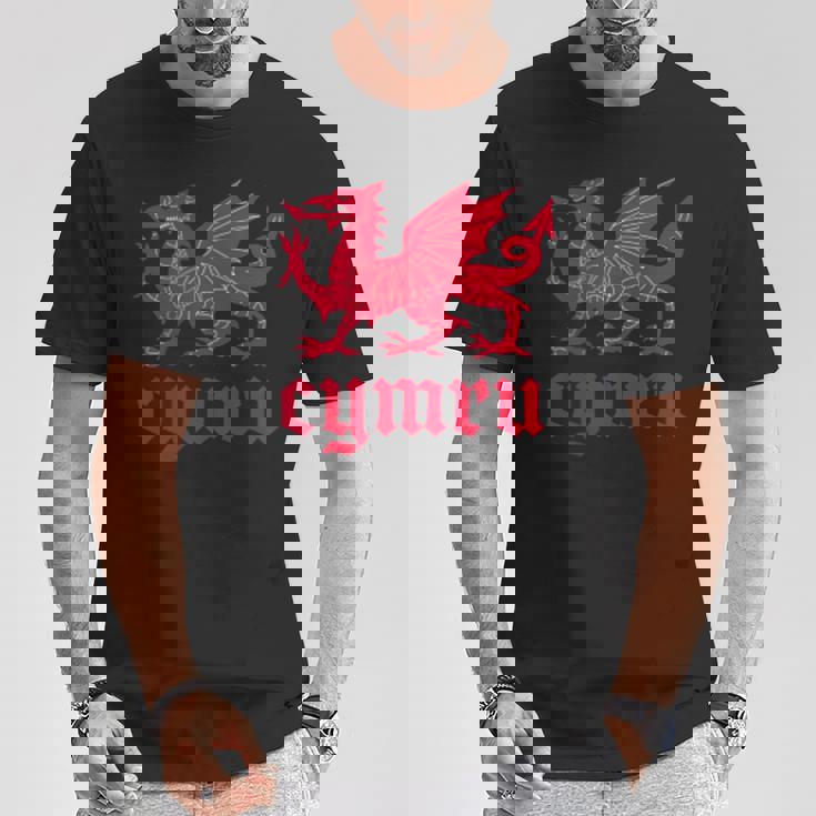 ウェールズ・ウェールズ・ウェールズ・シムレーグ・レッド・ウェールズ・ドラゴン Tシャツ 面白い贈り物