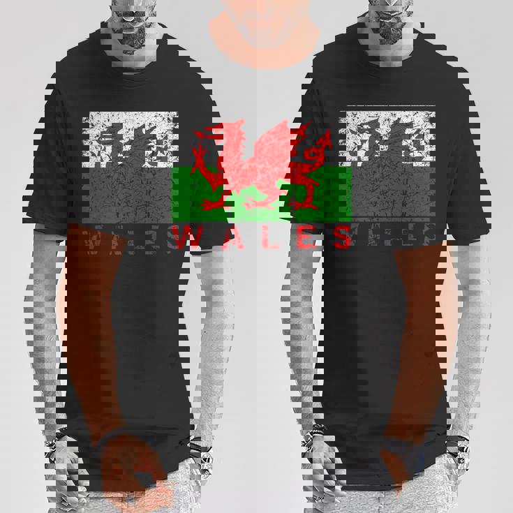 ウェールズ国旗 ウェールズ ドラゴン アンティーク調 メンズ レディース キッズ Tシャツ 面白い贈り物