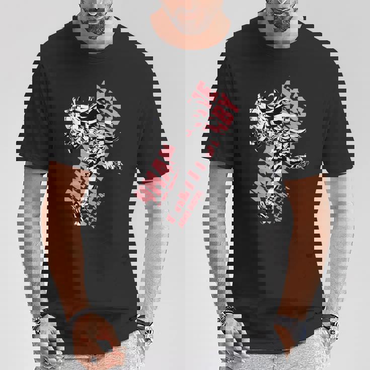 ウマ娘 プリティーダービー アグネスデジタル Tシャツ 面白い贈り物