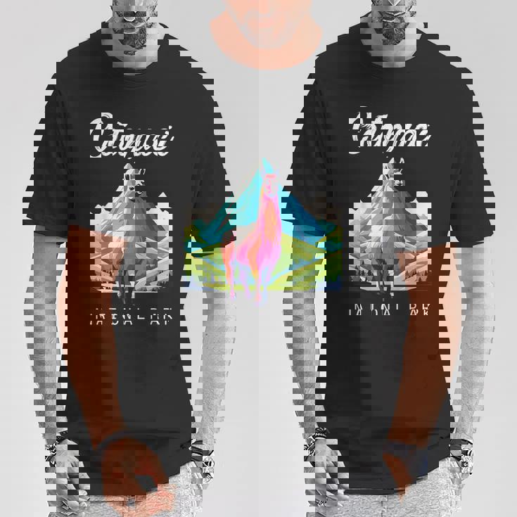 エクアドル コトパクシ国立公園 レトロ ラマ お土産 ハイキング Tシャツ 面白い贈り物