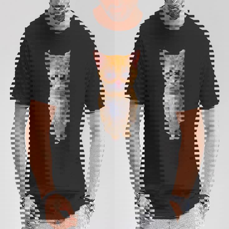 エルガト ミーム 悲しい泣き猫 マンチキン キティ ミーム トレンディ Tシャツ 面白い贈り物