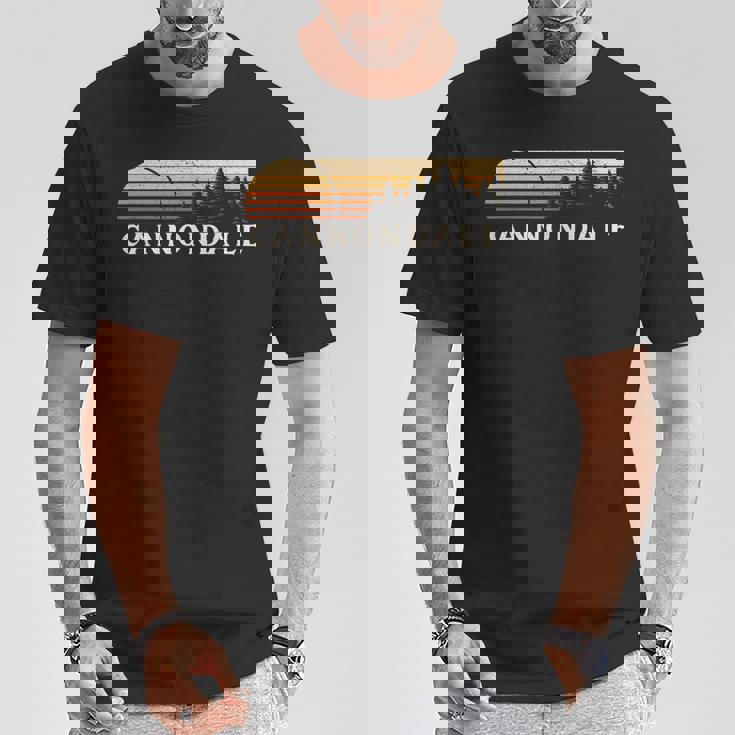 キャノンデール、Ct ヴィンテージ エバーグリーン サンセット 80年代 レトロ Tシャツ 面白い贈り物