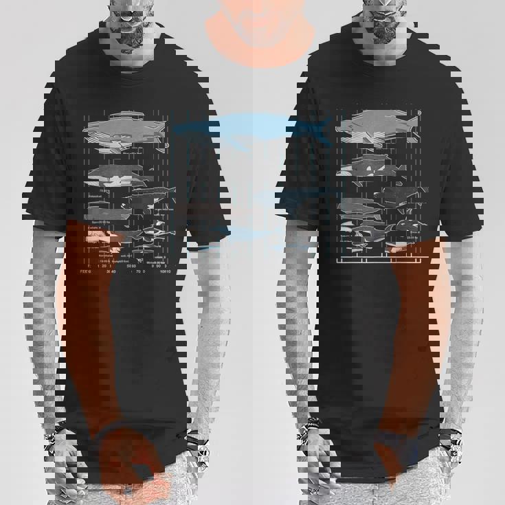 クジラの種類 Tシャツ 面白い贈り物