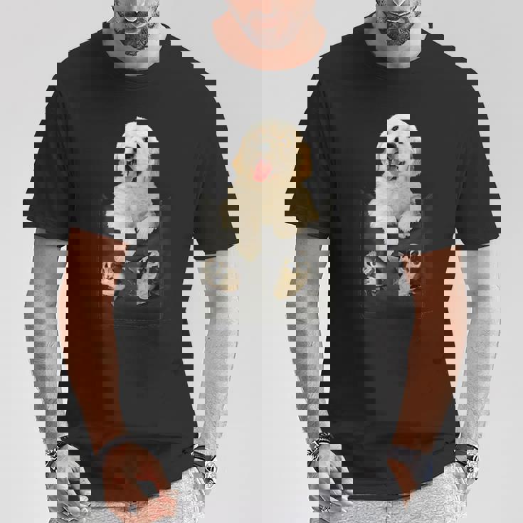 ゴールデンレトリバー ポケットに入った子犬 Tシャツ 面白い贈り物