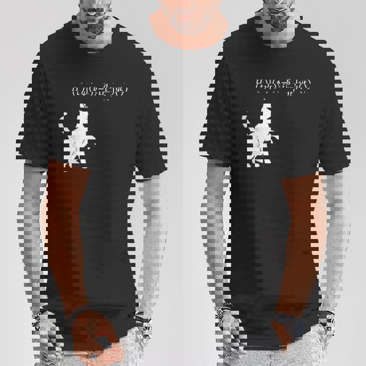 シュロディンガース 猫方程式物理学 オタク物理学 科学 Tシャツ 面白い贈り物