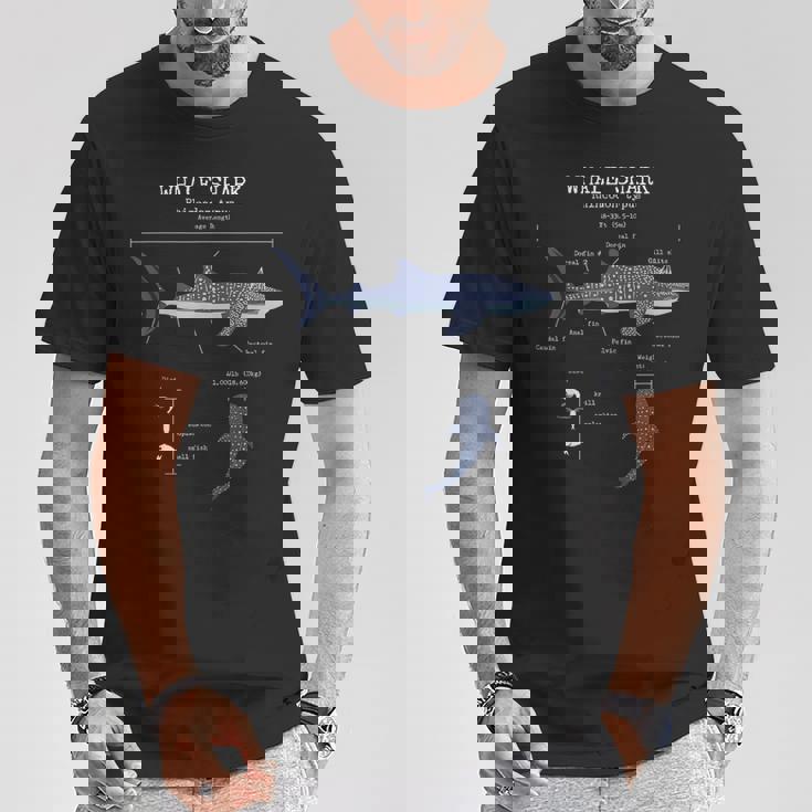 ジンベイザメ 解剖学 メンズ レディース キッズ ジンベイザメ Tシャツ 面白い贈り物