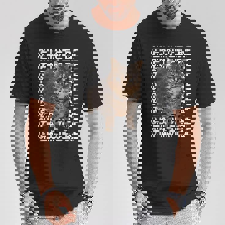 スピニングキャットミーム Oiiaoiia キャットミーム Tシャツ 面白い贈り物