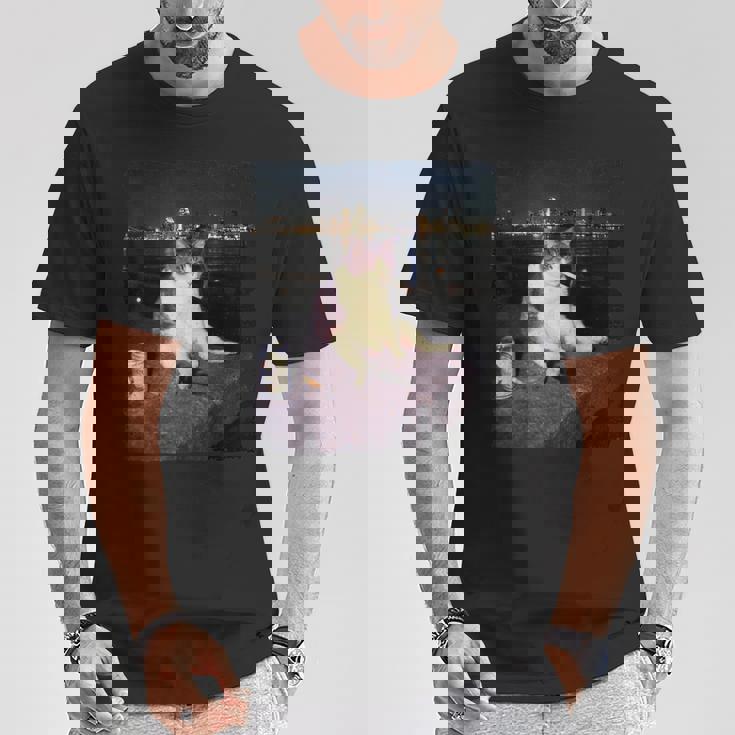 タバコ 子猫 おもしろい 喫煙 猫 ミーム バカ 脳腐 Tシャツ 面白い贈り物