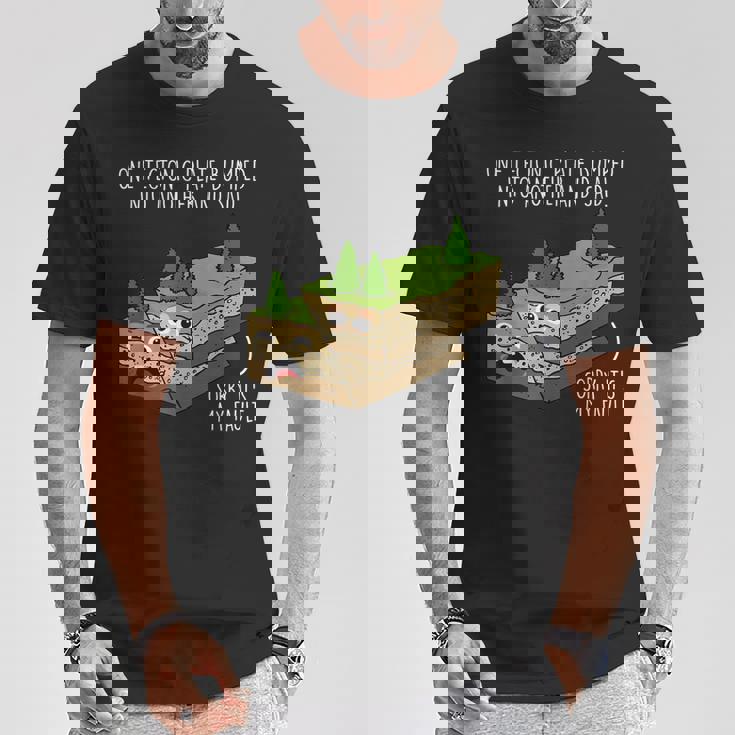 テクトニックプレートorry My Fault Teacher Tシャツ 面白い贈り物