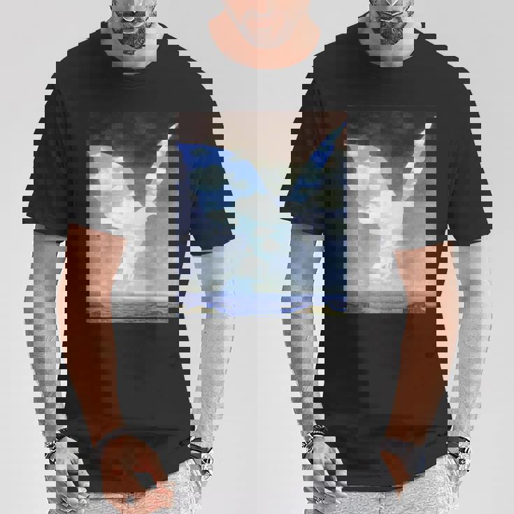 ハンサムシャツ Tシャツ 面白い贈り物