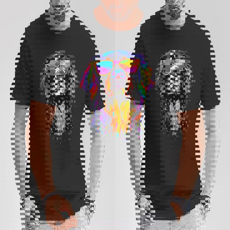 バーニーズマウンテンドッグ Dürrbächler スイス・マウンテンドッグ Tシャツ 面白い贈り物