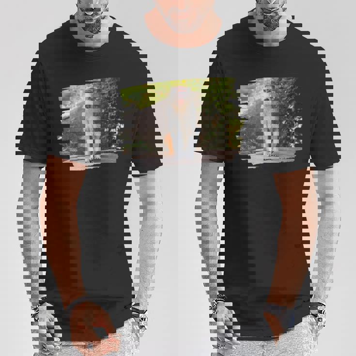 パタス・モンキー Tシャツ 面白い贈り物