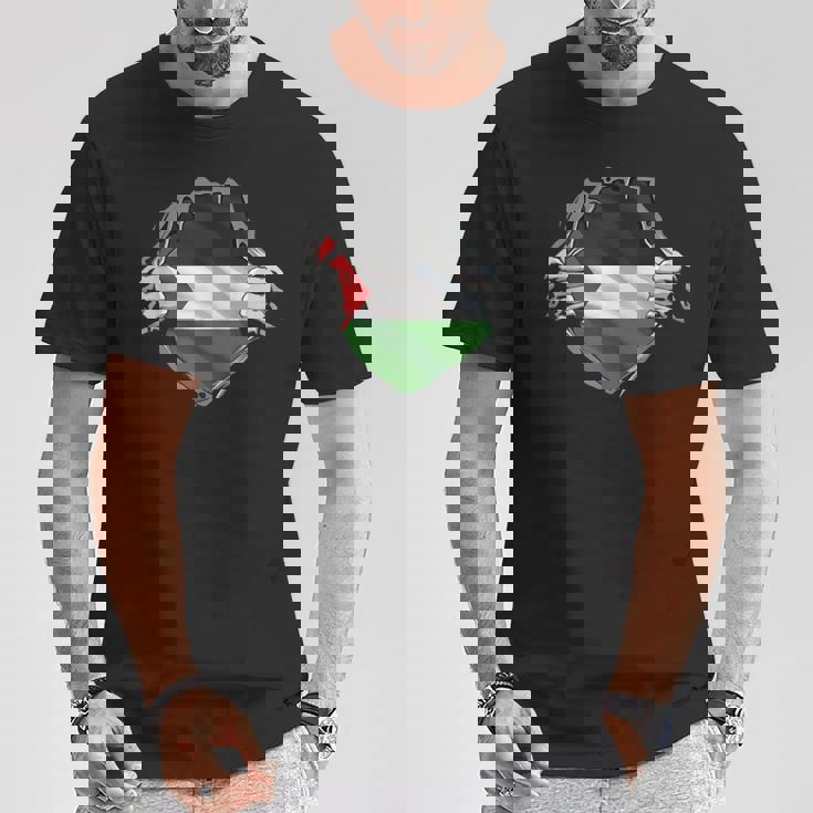 パレスチナシャツ パレスチナ国旗 アラビアのルーツ 遺産 Dna Tシャツ 面白い贈り物