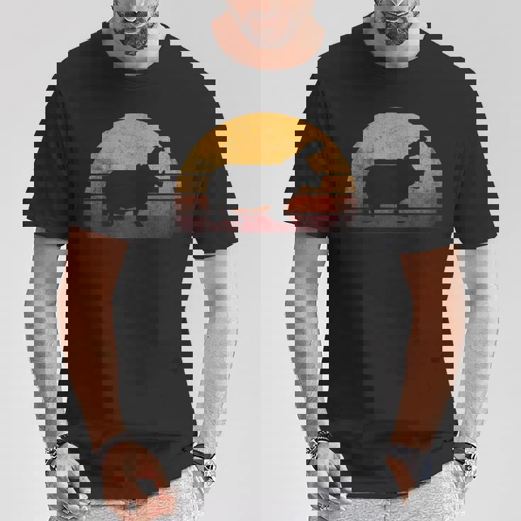 ビンテージ カバ デザイン レトロな日没カバ Tシャツ 面白い贈り物