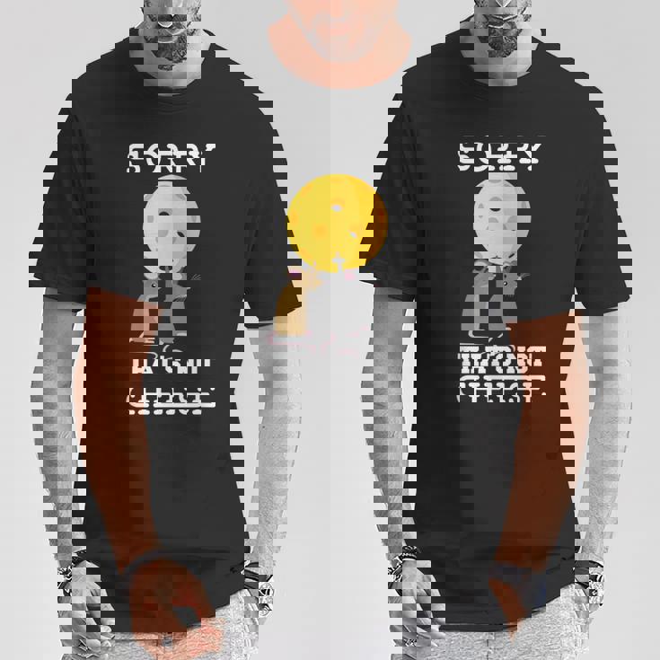 ピックルボール用パドル ラケット、ピックルボール用ボール、ピックルボール Tシャツ 面白い贈り物