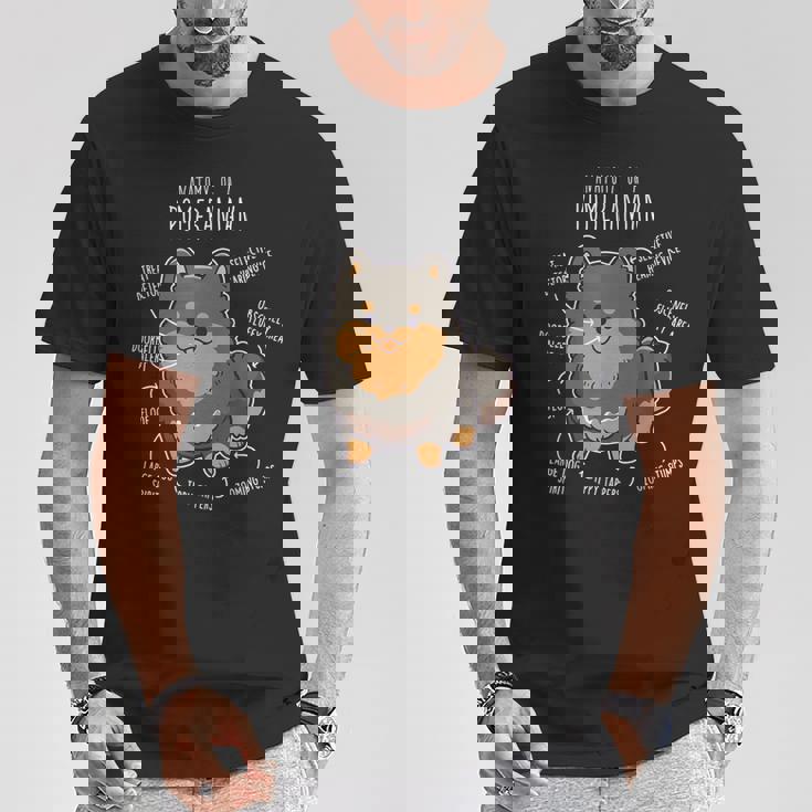 ブラック&タン ポメラニアン 犬の解剖学 面白い かわいい ペット ポンポン ママ Tシャツ 面白い贈り物