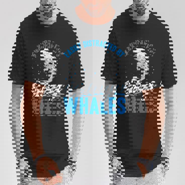 ベルーガクジラに簡単に気を取られる面白いシロイルカ動物。 Tシャツ 面白い贈り物