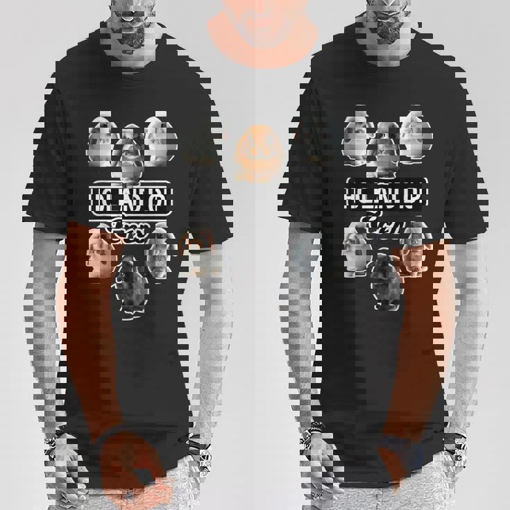 ホーランドロップラビットクルーファニーバニー Tシャツ 面白い贈り物