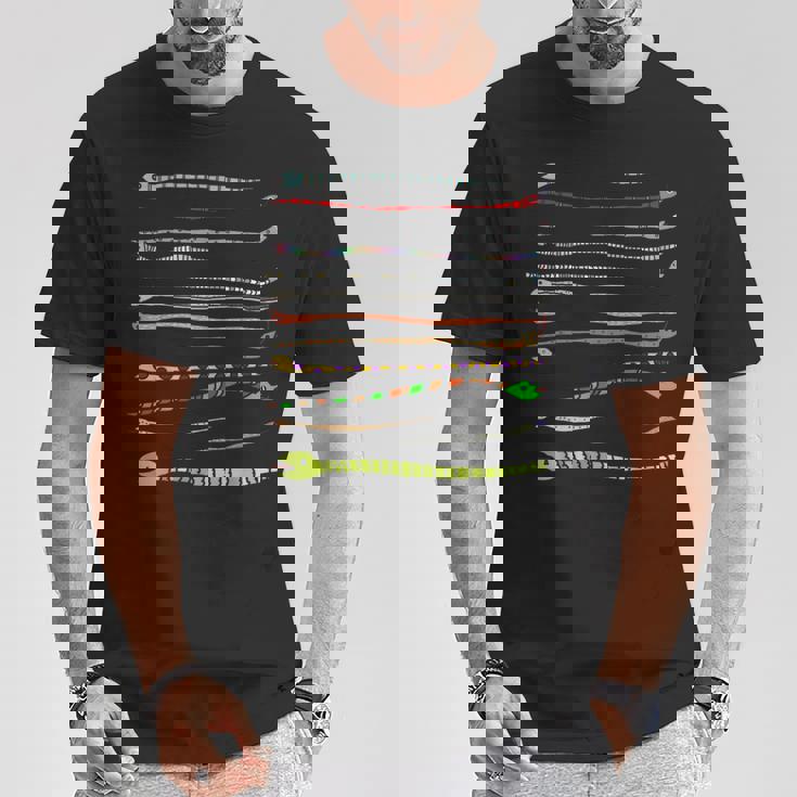 ボーダー カラフル Pop 爬虫類 かわいい オリジナル ヘビ柄 手描き フロント ボーダー イラスト おもしろ Tシャツ 面白い贈り物