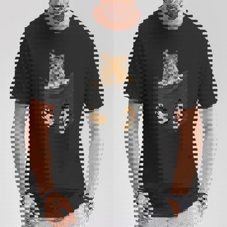 ポケットに入ったセーブルコリー犬、ラフコリーの子犬のぞき見 Tシャツ 面白い贈り物