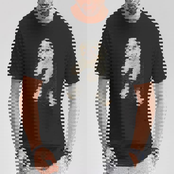 ポケットに入った面白いcavachon Dog Cavachon Dog好きのための Tシャツ 面白い贈り物